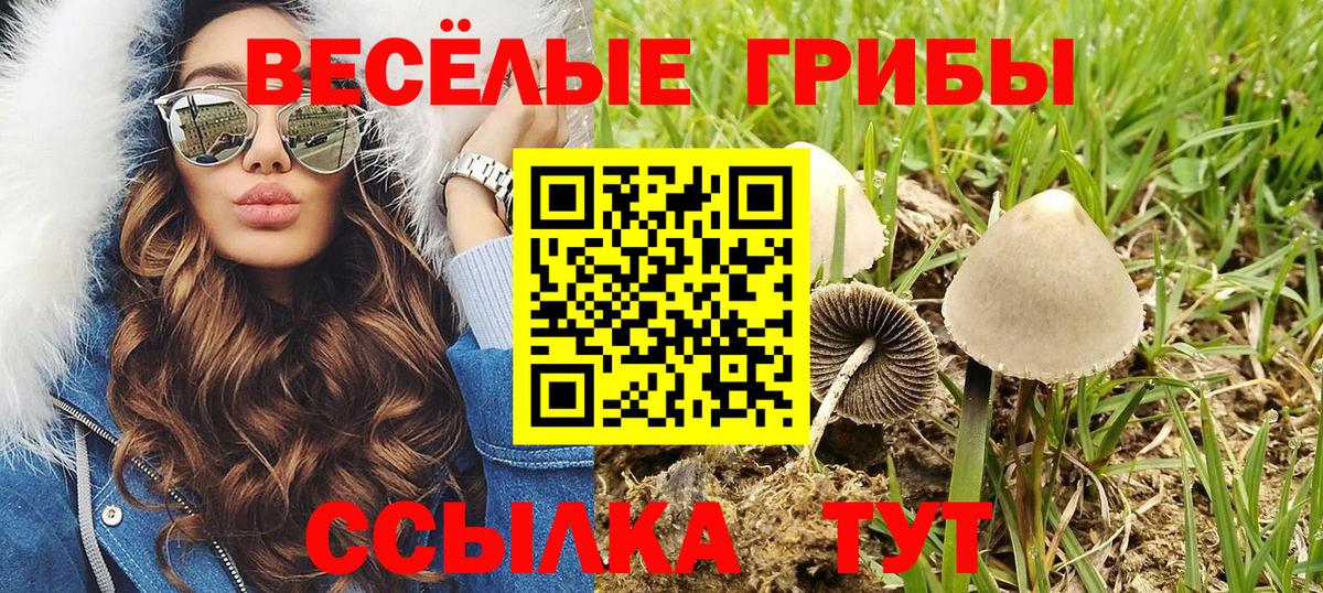 КОКАИН  НБОМе  Где купить  Кострома  ГАШ  Марихуана  Меф МЯУ МЯУ   COCAIN  Вход с VPN 