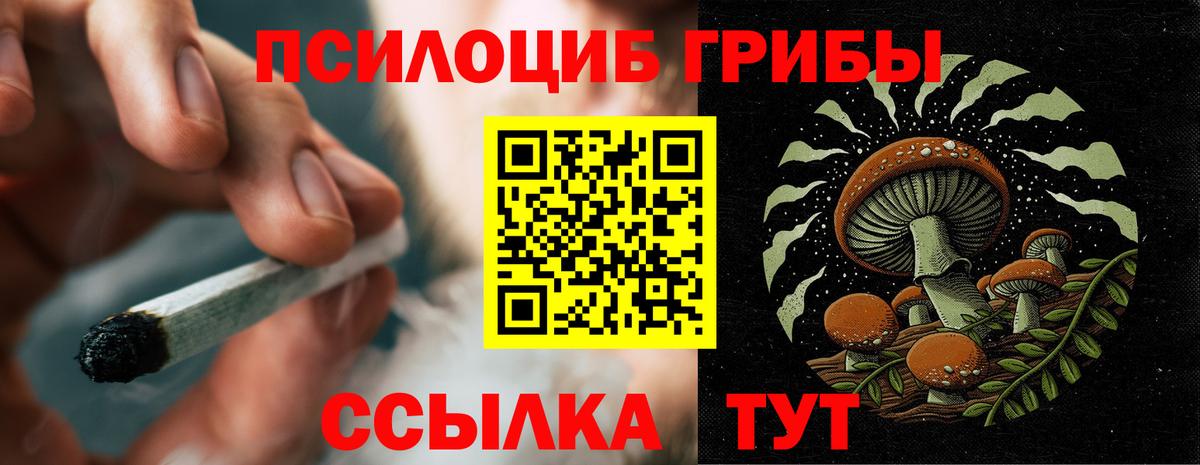 Псилоцибиновые грибы Psilocybine cubensis  Псилоцибиновые грибы Magic Shrooms  Вход с VPN  Кострома 